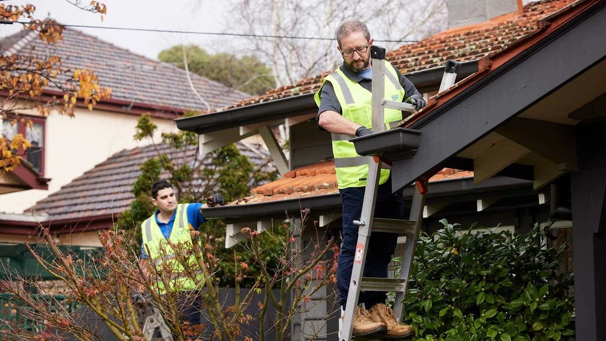 Gutter Cleaning